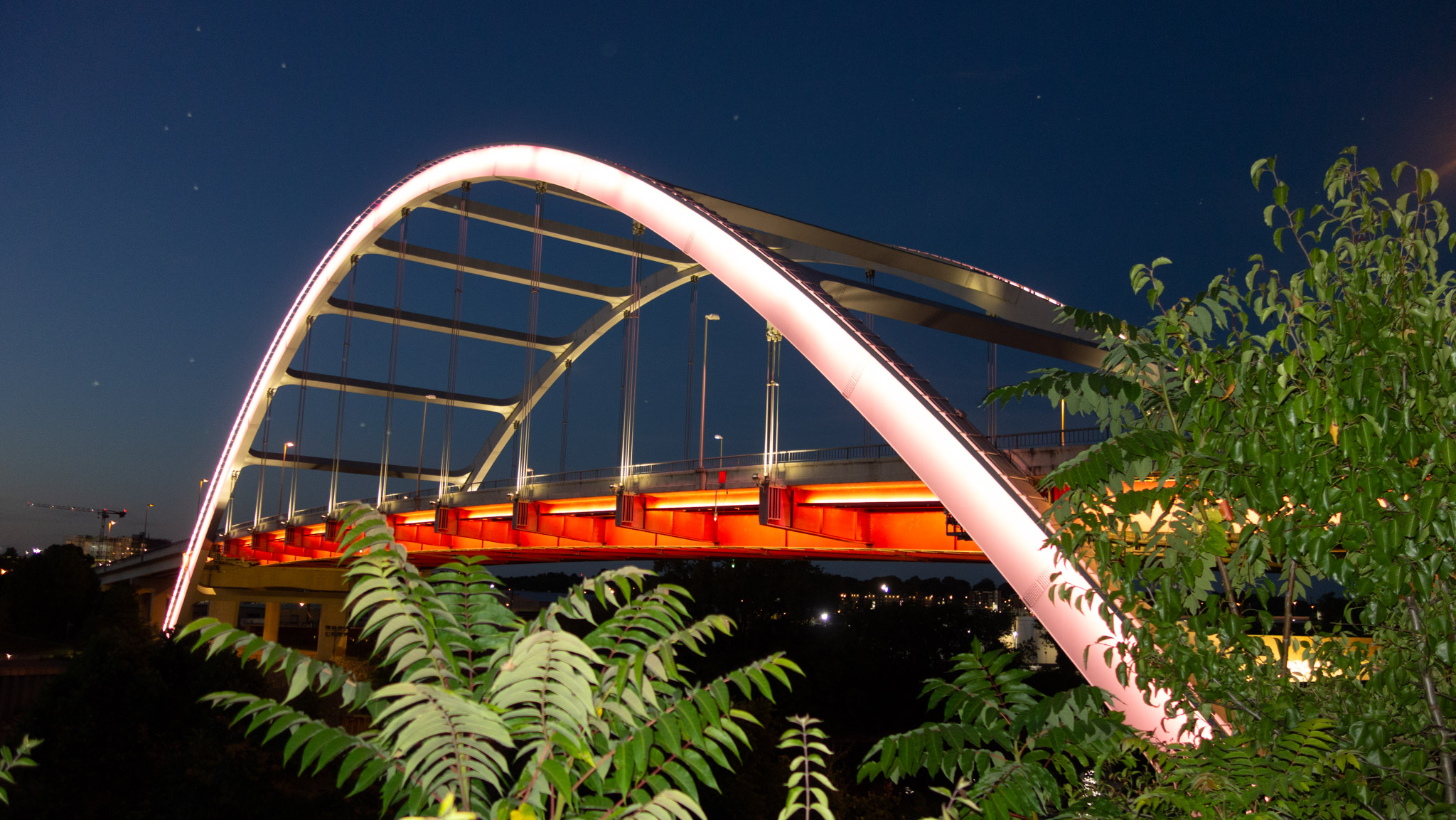 Illuminated arched bridge at night, glowing red and white against a deep blue sky, framed by leafy branches in the foreground.